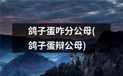 鸽子蛋咋分公母(鸽子蛋辩公母)