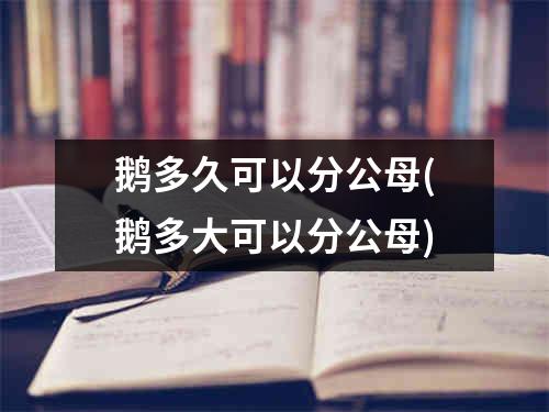 鹅多久可以分公母(鹅多大可以分公母)