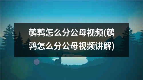 鹌鹑怎么分公母视频(鹌鹑怎么分公母视频讲解)