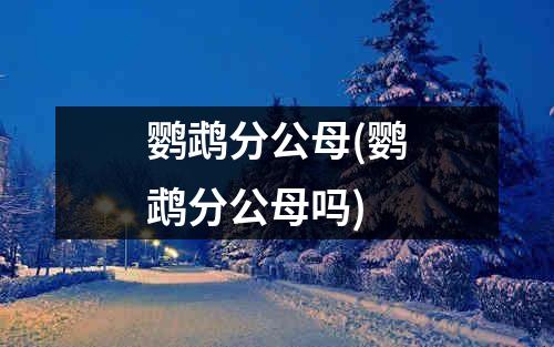 鹦鹉分公母(鹦鹉分公母吗)