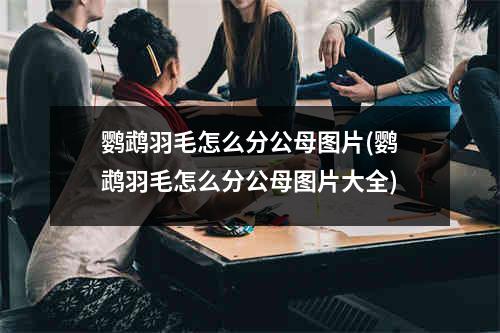 鹦鹉羽毛怎么分公母图片(鹦鹉羽毛怎么分公母图片大全)