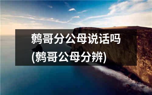 鹩哥分公母说话吗(鹩哥公母分辨)