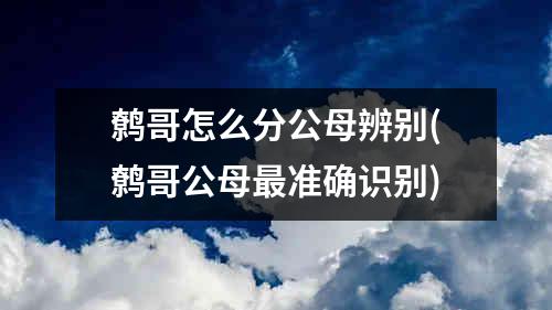 鹩哥怎么分公母辨别(鹩哥公母最准确识别)