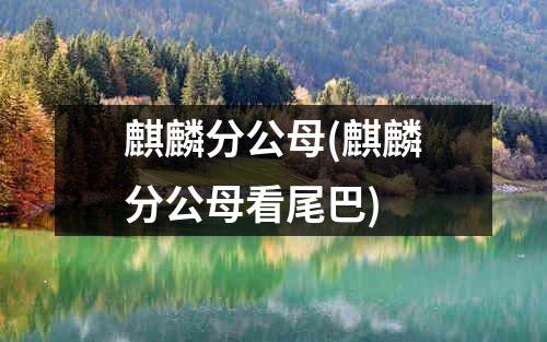 麒麟分公母(麒麟分公母看尾巴)