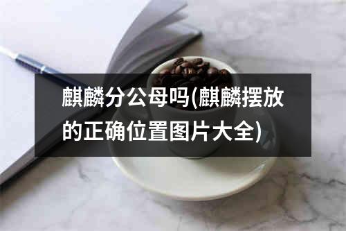 麒麟分公母吗(麒麟摆放的正确位置图片大全)