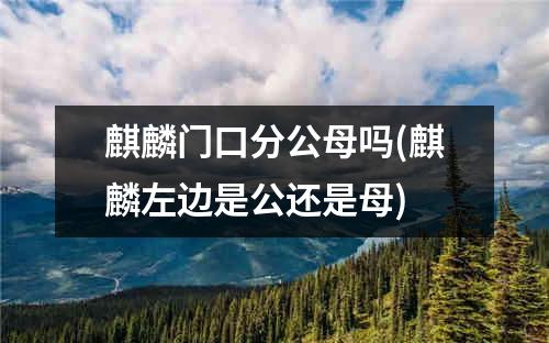 麒麟门口分公母吗(麒麟左边是公还是母)