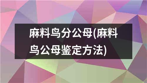 麻料鸟分公母(麻料鸟公母鉴定方法)