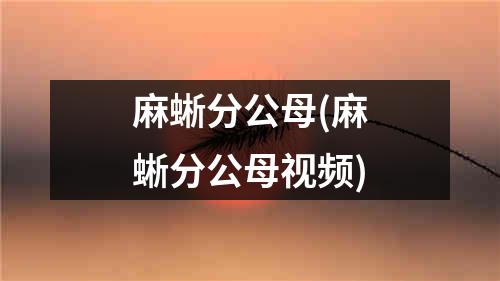 麻蜥分公母(麻蜥分公母视频)