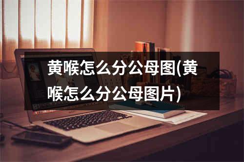 黄喉怎么分公母图(黄喉怎么分公母图片)