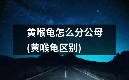 黄喉龟怎么分公母(黄喉龟区别)