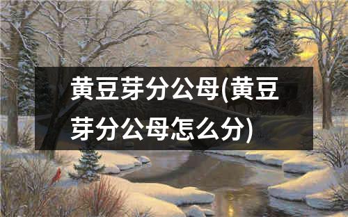 黄豆芽分公母(黄豆芽分公母怎么分)