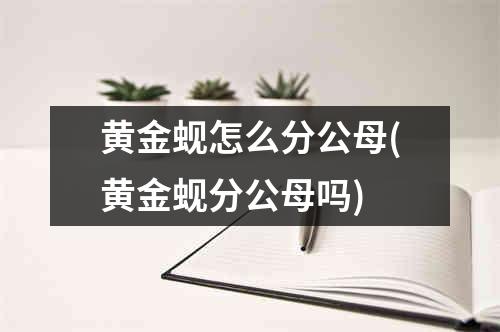 黄金蚬怎么分公母(黄金蚬分公母吗)