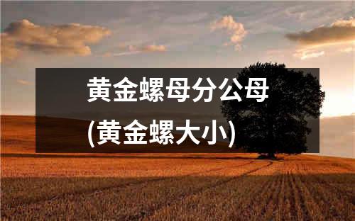 黄金螺母分公母(黄金螺大小)