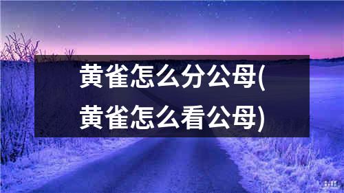 黄雀怎么分公母(黄雀怎么看公母)