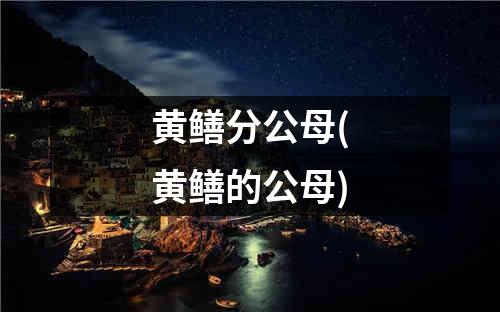 黄鳝分公母(黄鳝的公母)