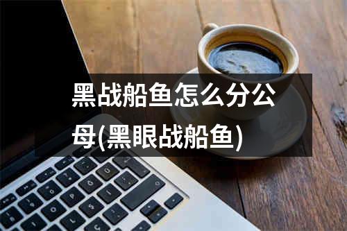 黑战船鱼怎么分公母(黑眼战船鱼)