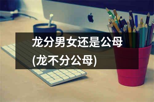 龙分男女还是公母(龙不分公母)