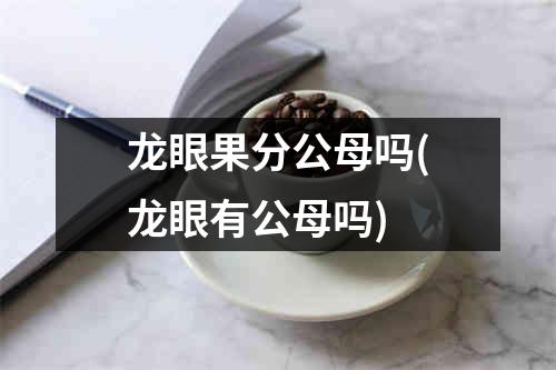 龙眼果分公母吗(龙眼有公母吗)