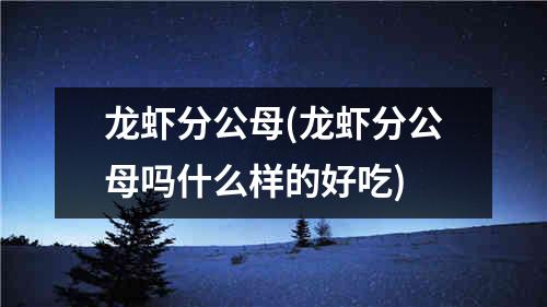 龙虾分公母(龙虾分公母吗什么样的好吃)