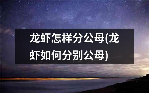 龙虾怎样分公母(龙虾如何分别公母)