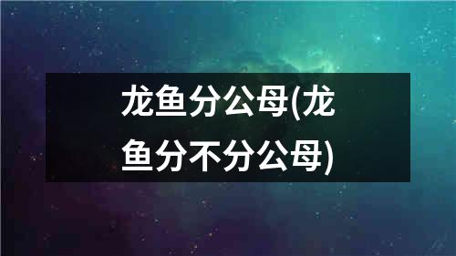 龙鱼分公母(龙鱼分不分公母)