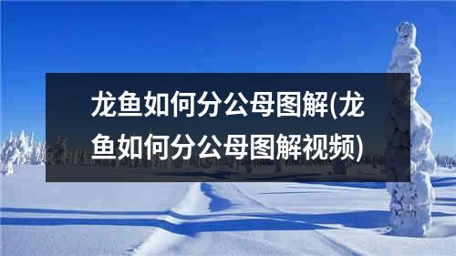 龙鱼如何分公母图解(龙鱼如何分公母图解视频)