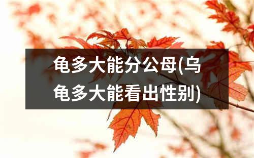 龟多大能分公母(乌龟多大能看出性别)