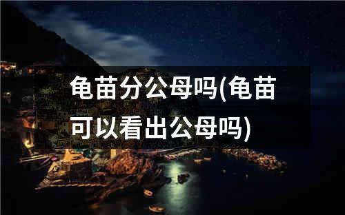 龟苗分公母吗(龟苗可以看出公母吗)