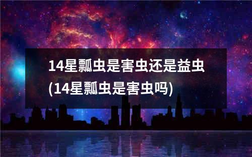 14星瓢虫是害虫还是益虫(14星瓢虫是害虫吗)