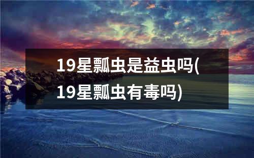 19星瓢虫是益虫吗(19星瓢虫有毒吗)