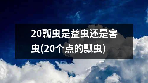 20瓢虫是益虫还是害虫(20个点的瓢虫)