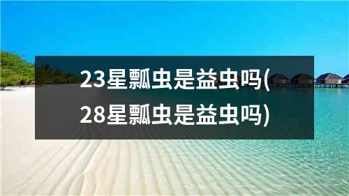 23星瓢虫是益虫吗(28星瓢虫是益虫吗)