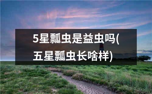 5星瓢虫是益虫吗(五星瓢虫长啥样)