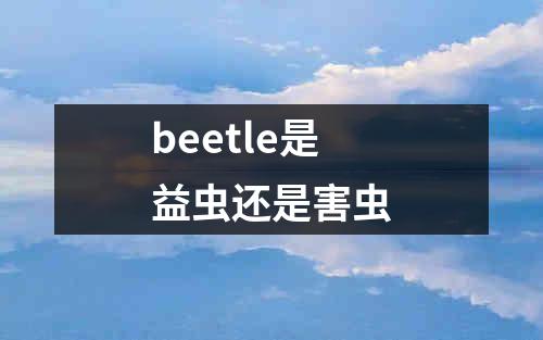 beetle是益虫还是害虫