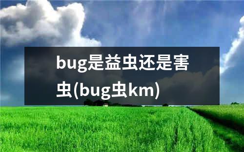 bug是益虫还是害虫(bug虫km)