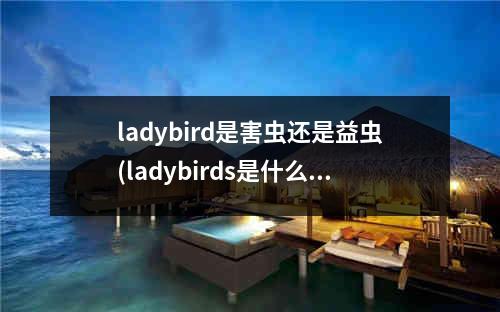 ladybird是害虫还是益虫(ladybirds是什么意思)