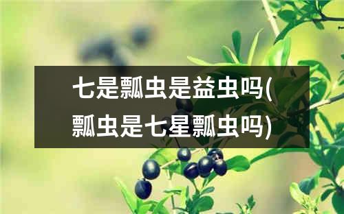 七是瓢虫是益虫吗(瓢虫是七星瓢虫吗)