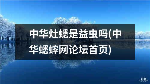 中华灶蟋是益虫吗(中华蟋蟀网论坛首页)