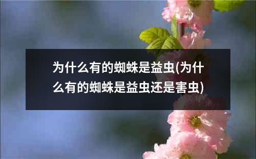 为什么有的蜘蛛是益虫(为什么有的蜘蛛是益虫还是害虫)