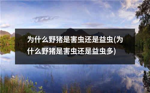 为什么野猪是害虫还是益虫(为什么野猪是害虫还是益虫多)