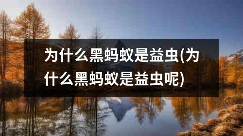 为什么黑蚂蚁是益虫(为什么黑蚂蚁是益虫呢)