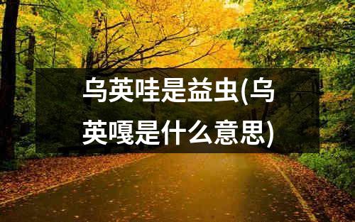 乌英哇是益虫(乌英嘎是什么意思)