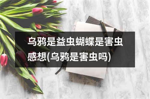 乌鸦是益虫蝴蝶是害虫感想(乌鸦是害虫吗)