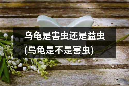 乌龟是害虫还是益虫(乌龟是不是害虫)