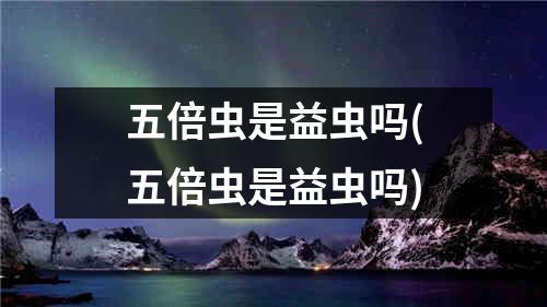 五倍虫是益虫吗(五倍虫是益虫吗)