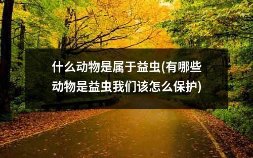 什么动物是属于益虫(有哪些动物是益虫我们该怎么保护)