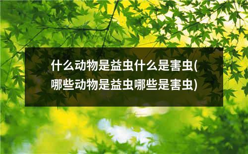 什么动物是益虫什么是害虫(哪些动物是益虫哪些是害虫)