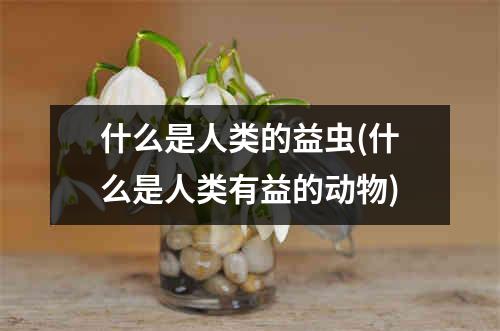 什么是人类的益虫(什么是人类有益的动物)