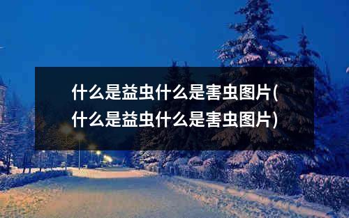 什么是益虫什么是害虫图片(什么是益虫什么是害虫图片)