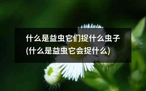 什么是益虫它们捉什么虫子(什么是益虫它会捉什么)